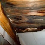 From Shingle to Shambles: What Causes Roof Rot and How to Prevent It