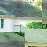 Roof Fungus: Different Types and How to Deal with Them
