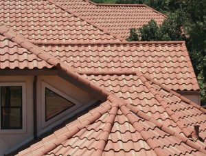 How to Keep Your Roof Shingles in Top Condition