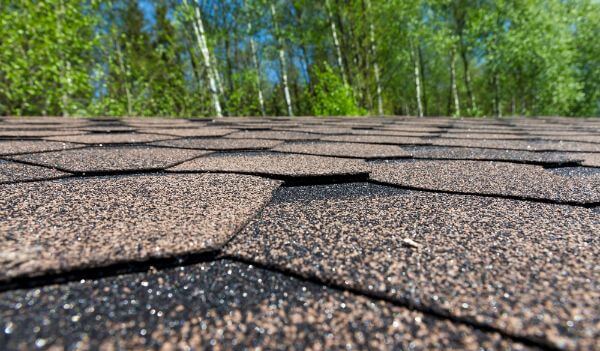 Reading Between the Shingles: What Your Roof Is Telling You About Its ...