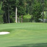 Swing into Paradise: Discover the Best Golf Courses in Crossville, Tennessee